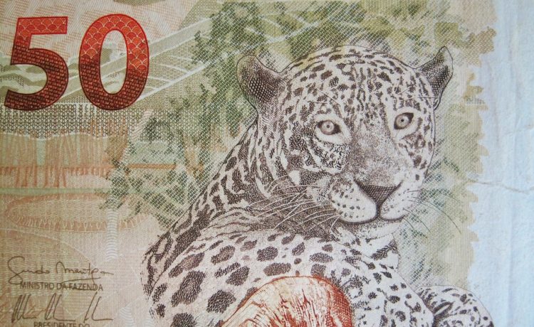 Projeção de crescimento do crédito